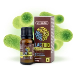 Lactrio, probiotyk probiotyki w kroplach - 10ml Skoczylas